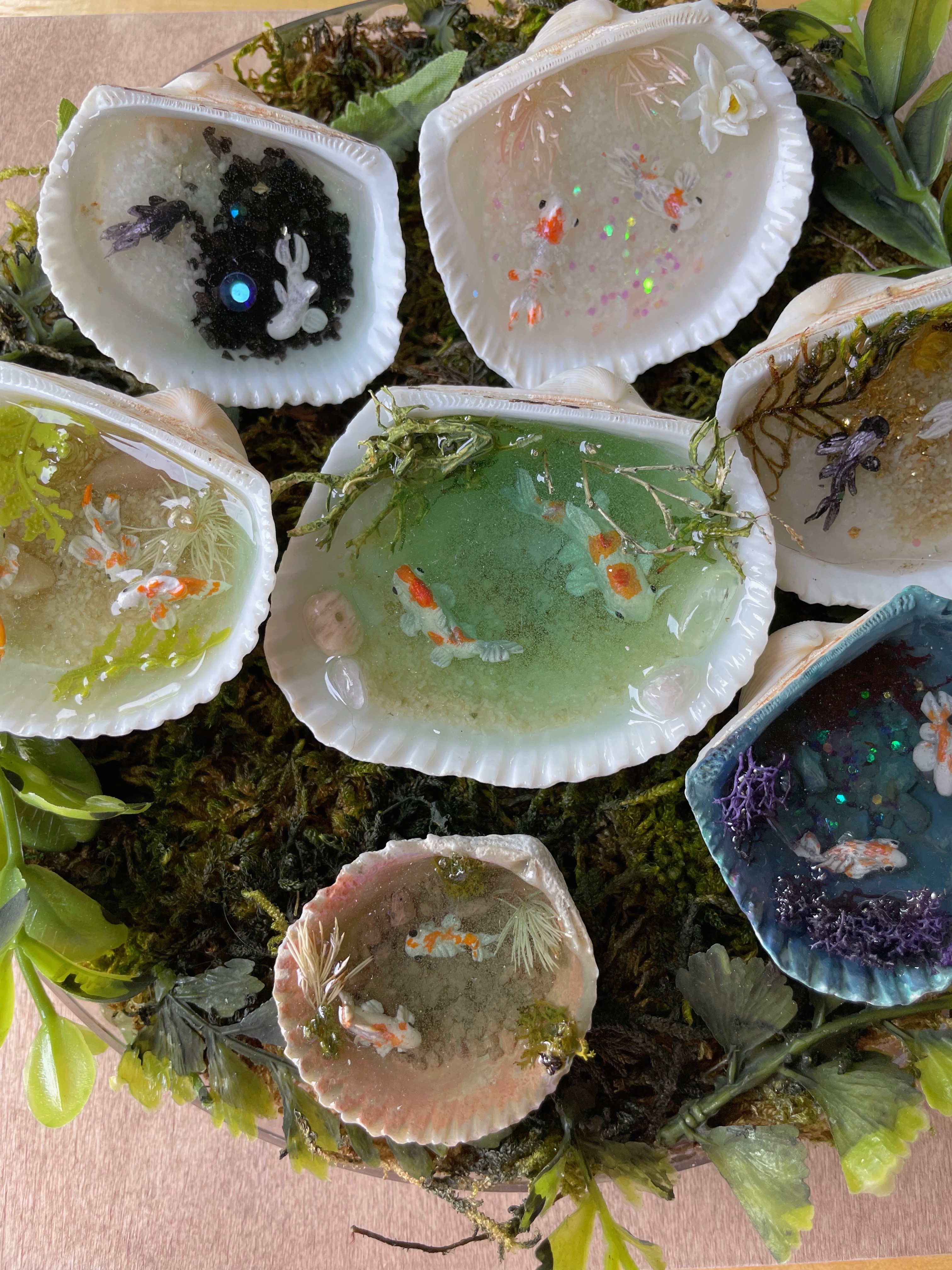 Fish ponds in shells